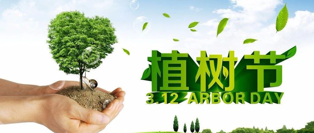 植樹節(jié) | 每一顆樹，都是用心種下的希望