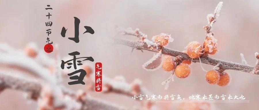 今日，小雪！